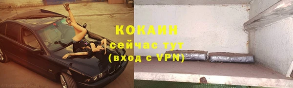 хмурый Алзамай