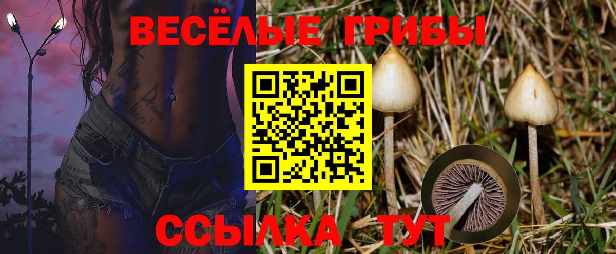 Дзержинск  Псилоцибиновые грибы MAGIC MUSHROOMS  Вход с VPN 