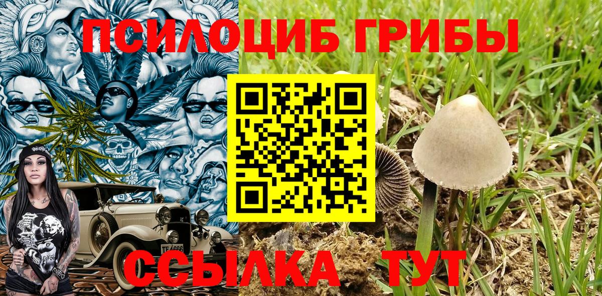 Псилоцибиновые грибы мицелий Дзержинск