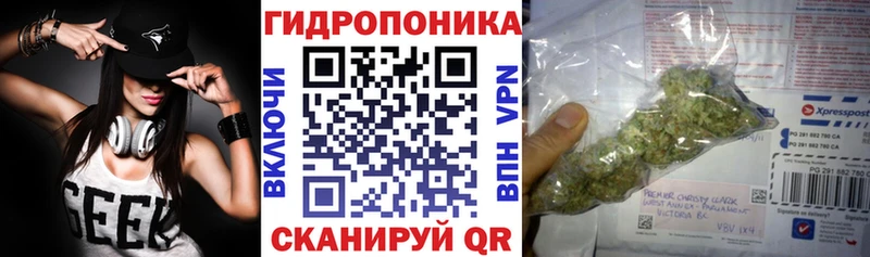 Шишки марихуана ГИДРОПОН  Дзержинск 